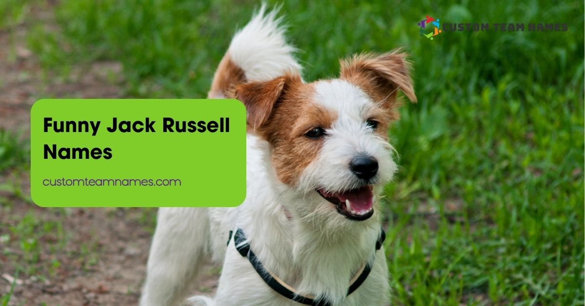 Funny Jack Russell Names